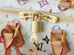 Louis Vuitton LV Speedy Bandouli¨¨re 20 Handbag 20.5x13.5x12cm